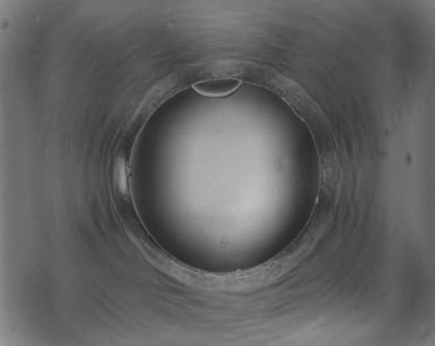 X0000073920046200608181100