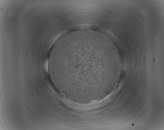 X0000073920047200608181100