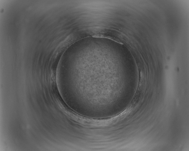 X0000073920048200608181100