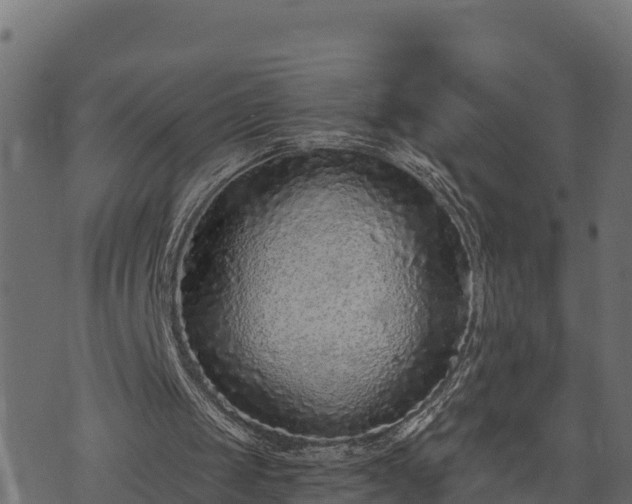 X0000073920049200608181059