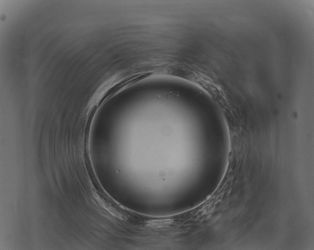 X0000073920051200608181059