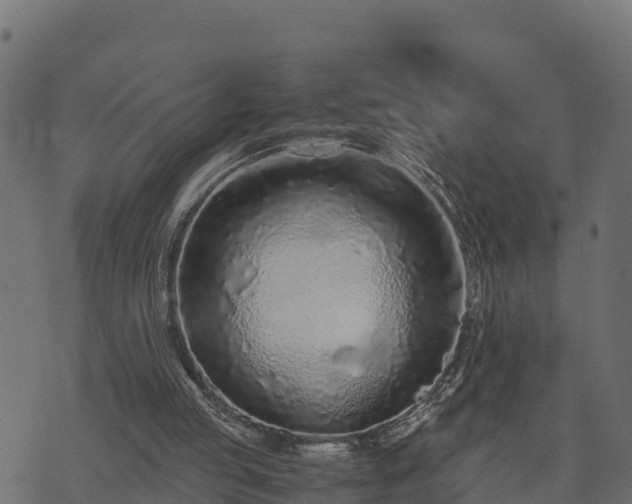 X0000073920053200608181059