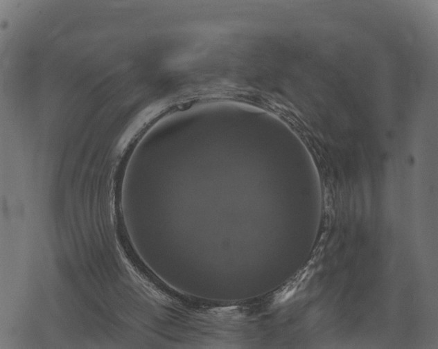 X0000073920054200608181059