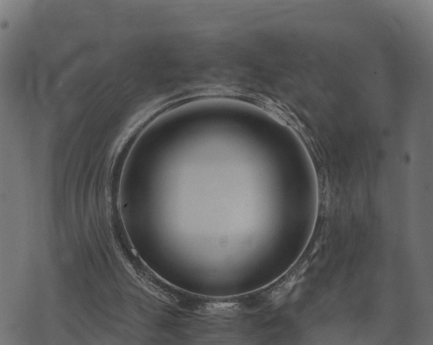 X0000073920055200608181059