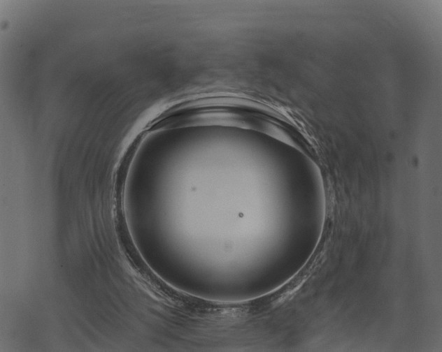 X0000073920056200608181059