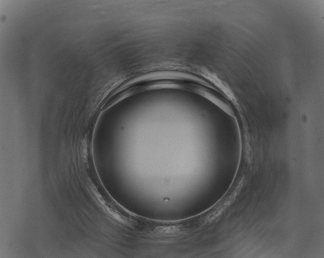 X0000073920057200608181059