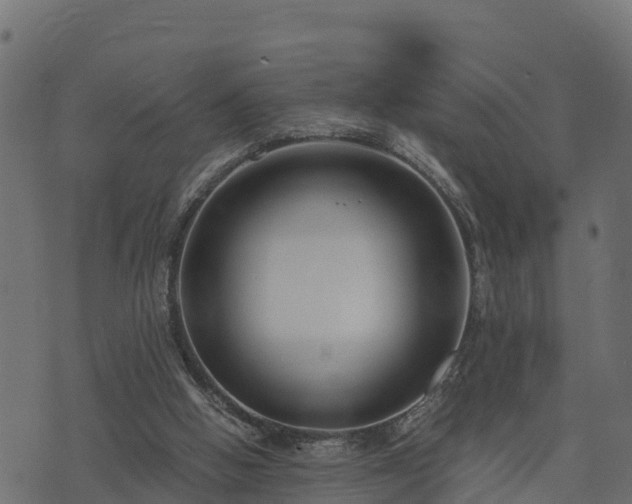 X0000073920058200608181059