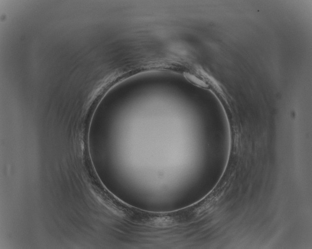 X0000073920059200608181059