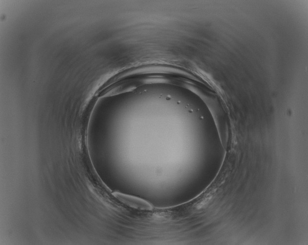 X0000073920060200608181059