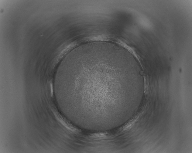 X0000073920061200608181059