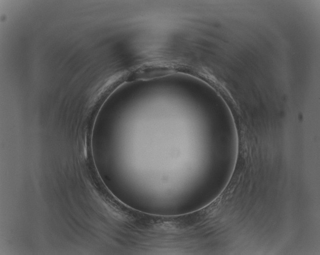 X0000073920062200608181059