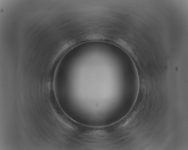 X0000073920063200608181059