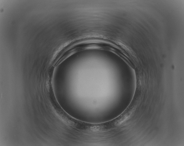 X0000073920064200608181059