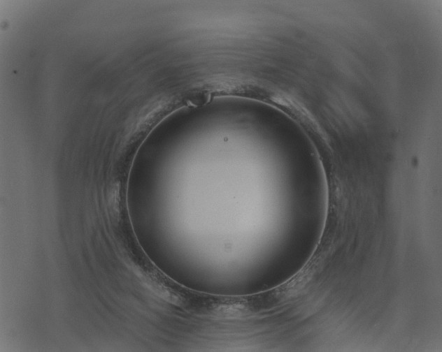 X0000073920066200608181059