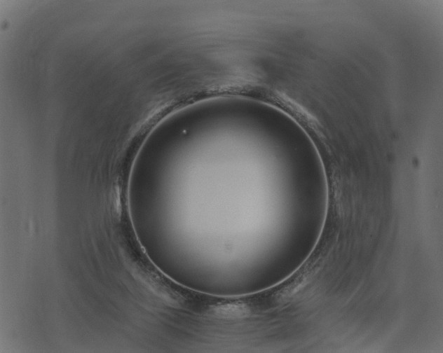 X0000073920067200608181059