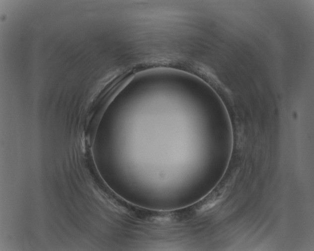 X0000073920068200608181059