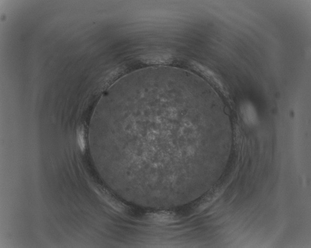 X0000073920069200608181059