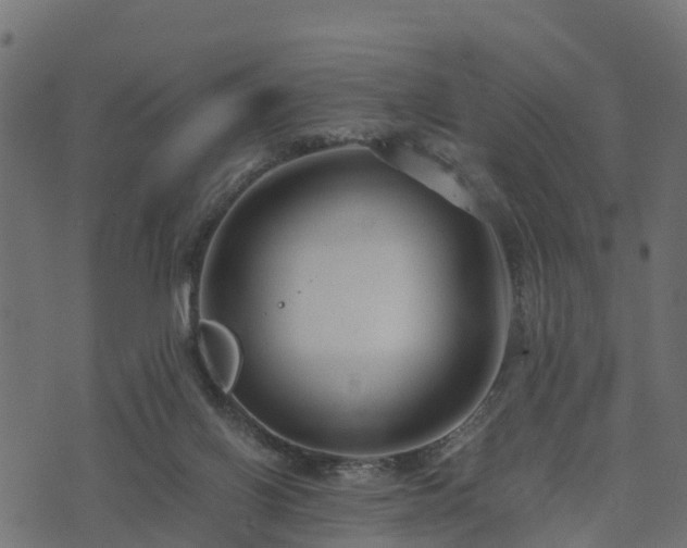 X0000073920070200608181059