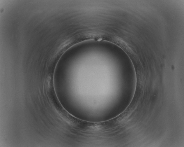 X0000073920071200608181059