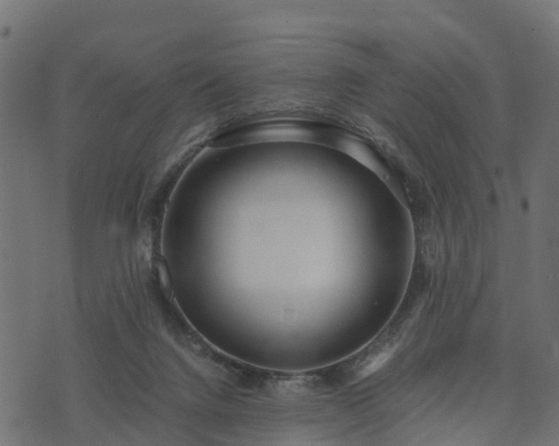 X0000073920072200608181059