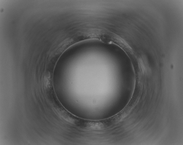 X0000073920073200608181059