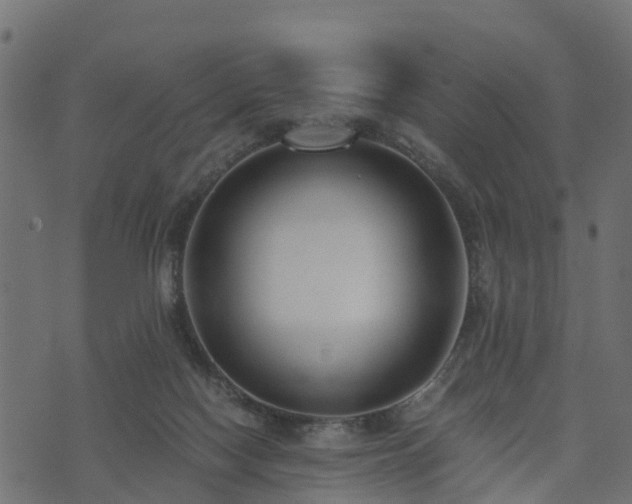 X0000073920074200608181100