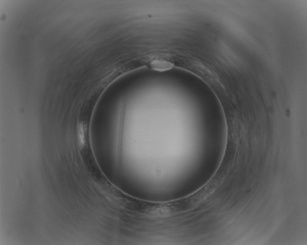 X0000073920075200608181100