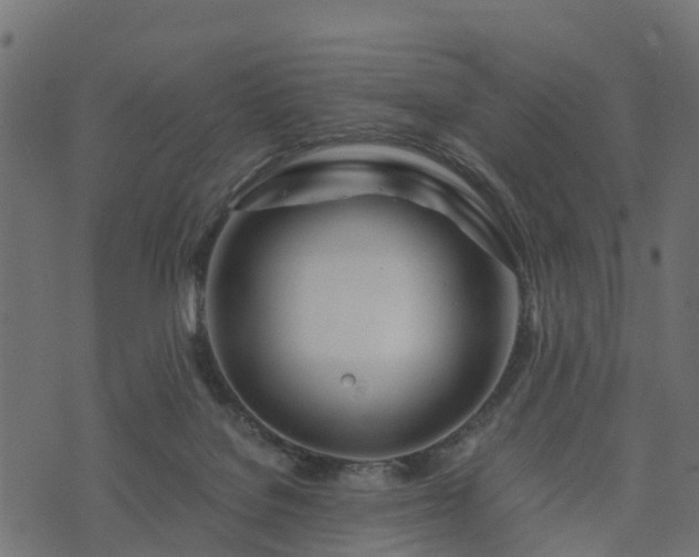 X0000073920076200608181100