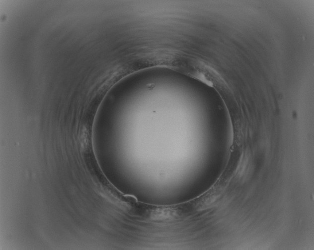 X0000073920077200608181100