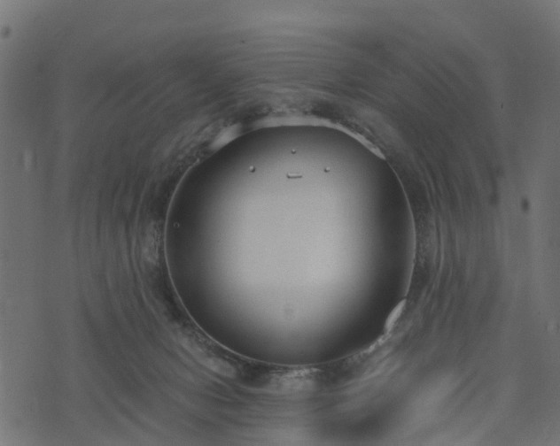 X0000073920078200608181100