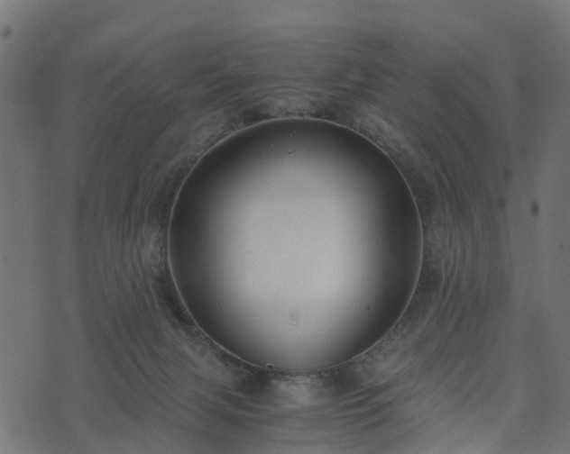 X0000073920079200608181100