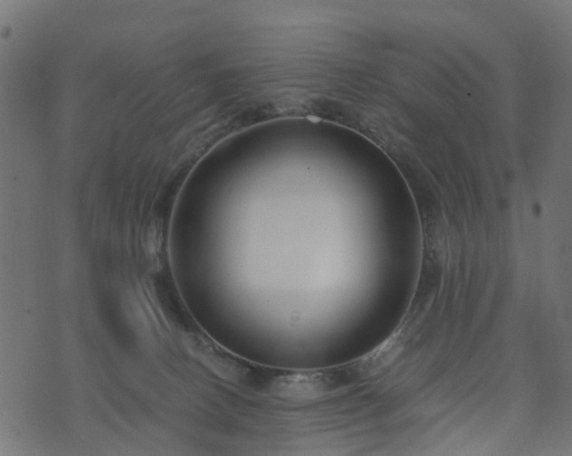 X0000073920082200608181100