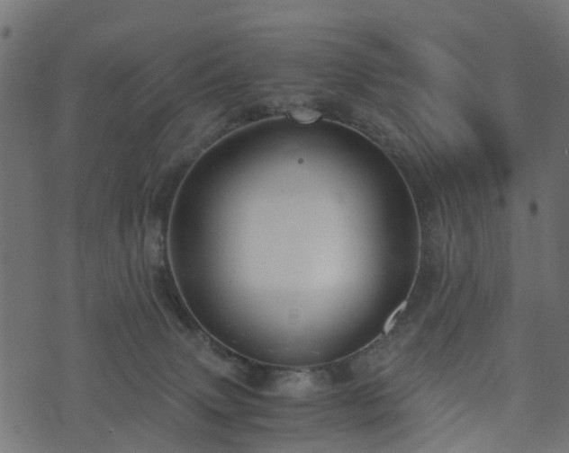 X0000073920083200608181100