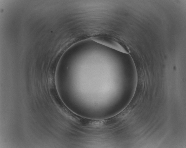 X0000073920084200608181100