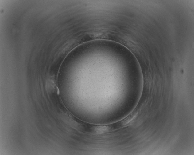 X0000073920085200608181100