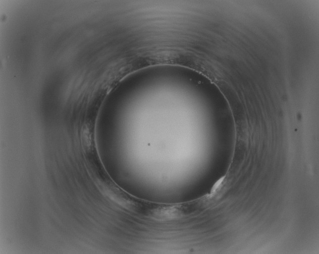 X0000073920086200608181100