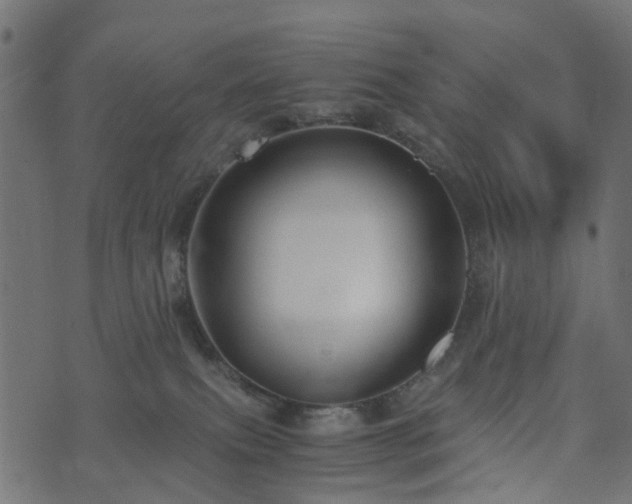 X0000073920087200608181100