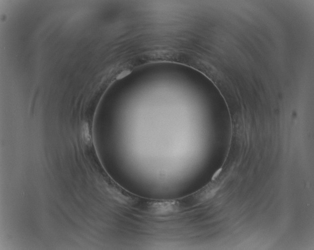 X0000073920089200608181100