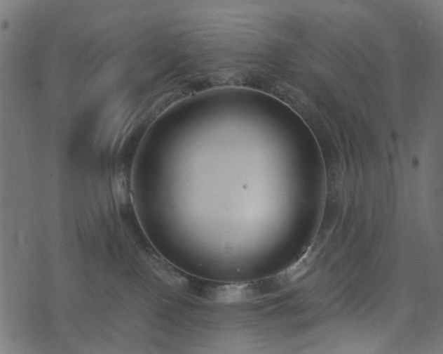 X0000073920090200608181100