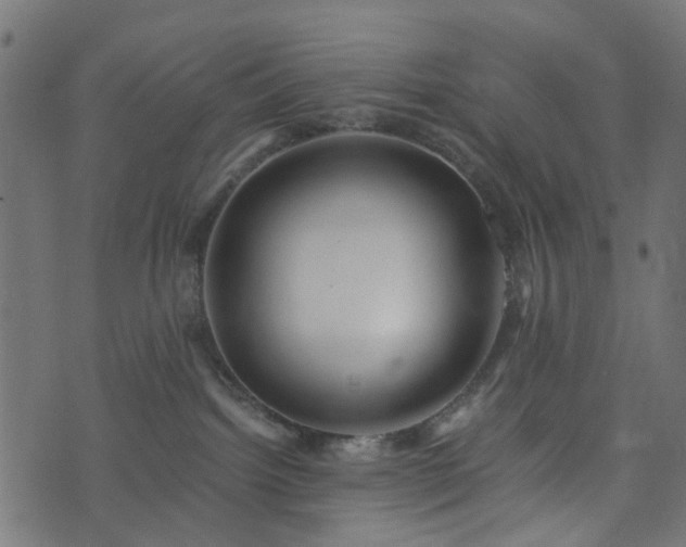 X0000073920092200608181100