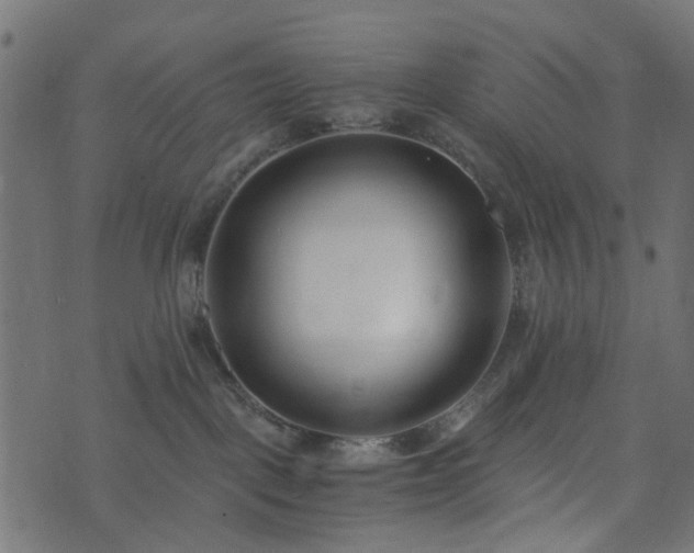 X0000073920093200608181100