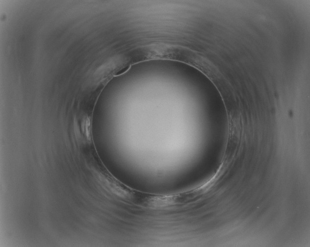 X0000073920094200608181100