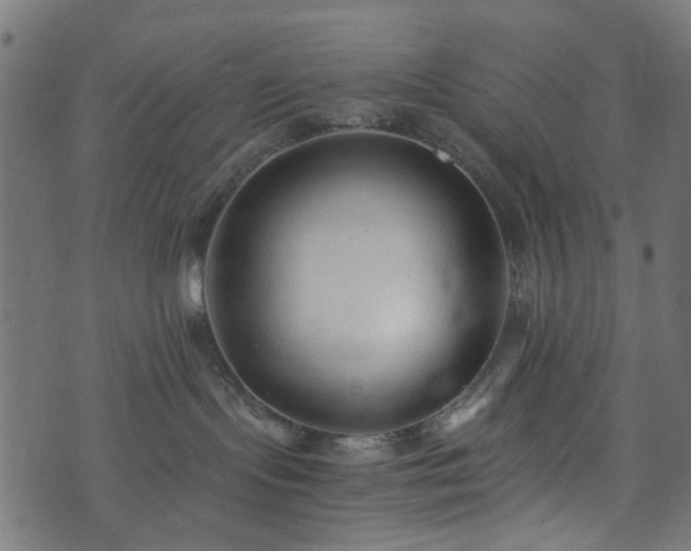 X0000073920095200608181100