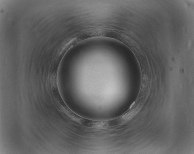 X0000073920096200608181100