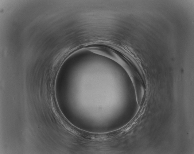 X0000073920097200608181059