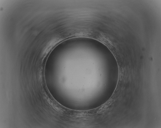 X0000073920098200608181059