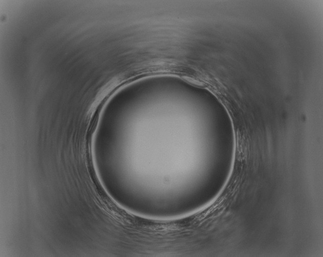 X0000073920099200608181059