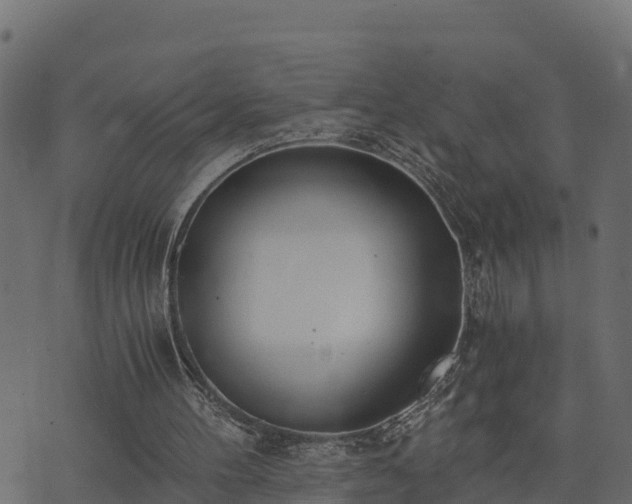 X0000073920100200608181059