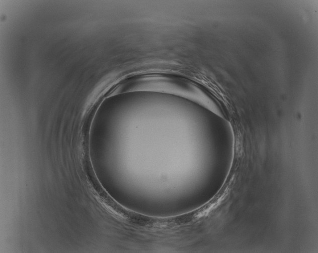 X0000073920101200608181059