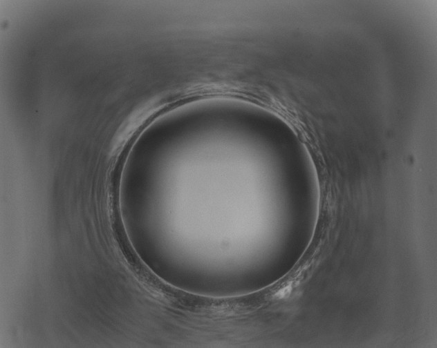 X0000073920103200608181059